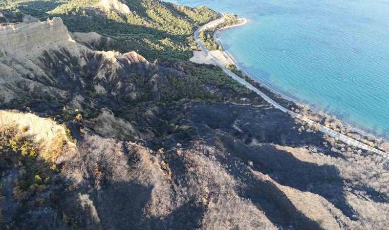 Tarihi Gelibolu Yarımadasındaki yangında alevlerden etkilenen Anzak Koyu dron ile görüntülendi