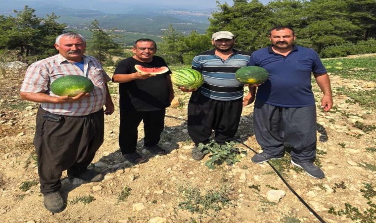 Tarsusta yerli tohuma ve üretime dönüş için çağrı