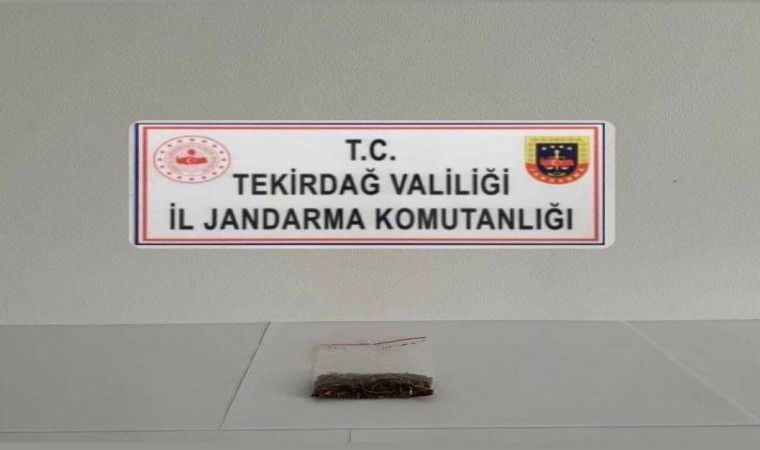 Tekirdağda uyuşturucu denetimlerinde 3 kişi yakalandı