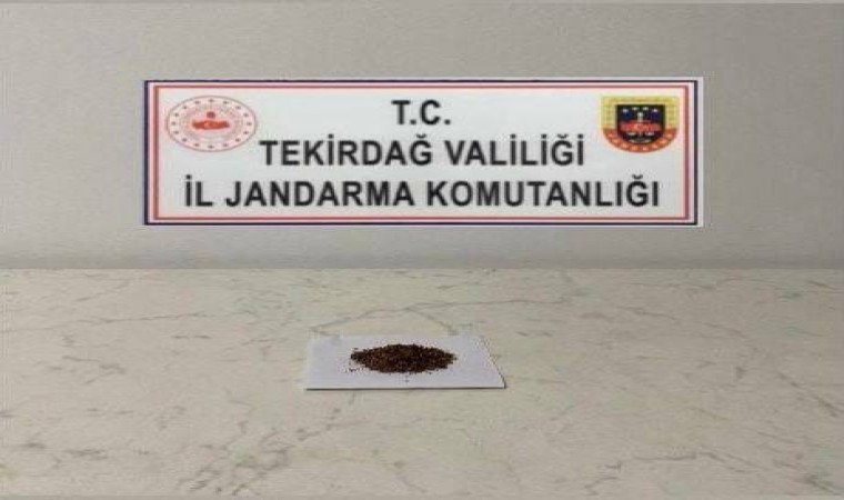 Tekirdağda uyuşturucu operasyonları