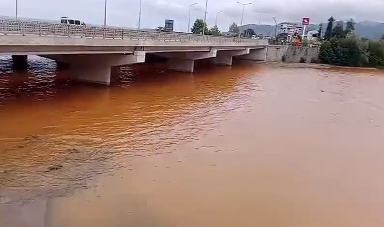 Türkülere konu olan Gelevera Deresindeki balık ölümleri korkutuyor