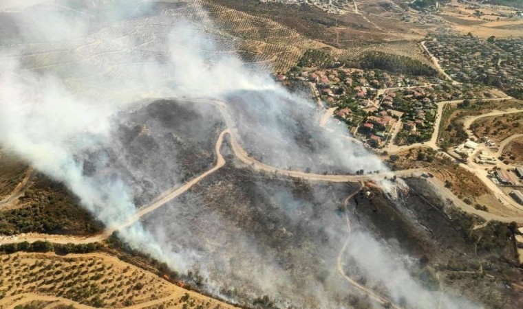 Urlada ormana sirayet eden yangın kontrol altına alındı