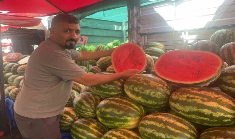 Verimi yüksek olan karpuzun fiyatı yüzde 100den fazla düştü