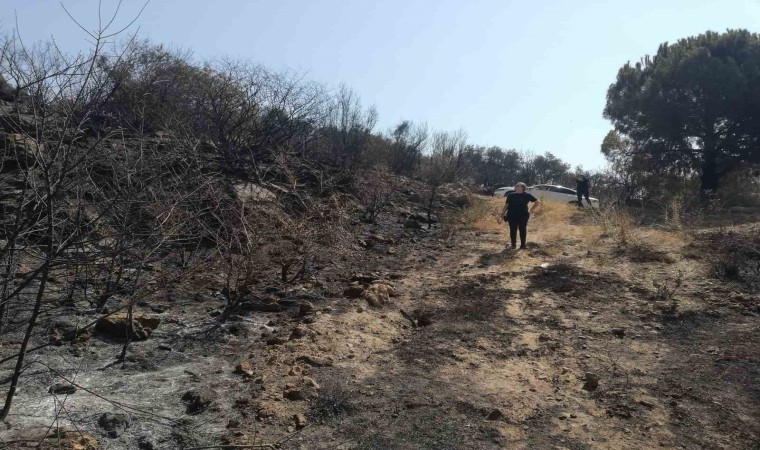 Yangından zarar gören tarımsal alanlarda incelemelerde bulunuldu