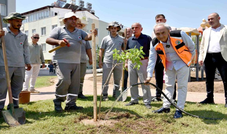 Yenilenen parka ilk ağaç fidanı Kocagözden