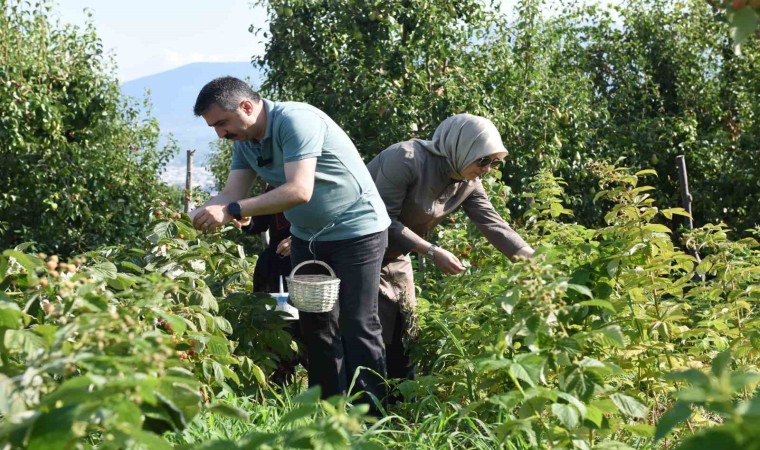 Yıldırımda tarladan sofraya kadın eli