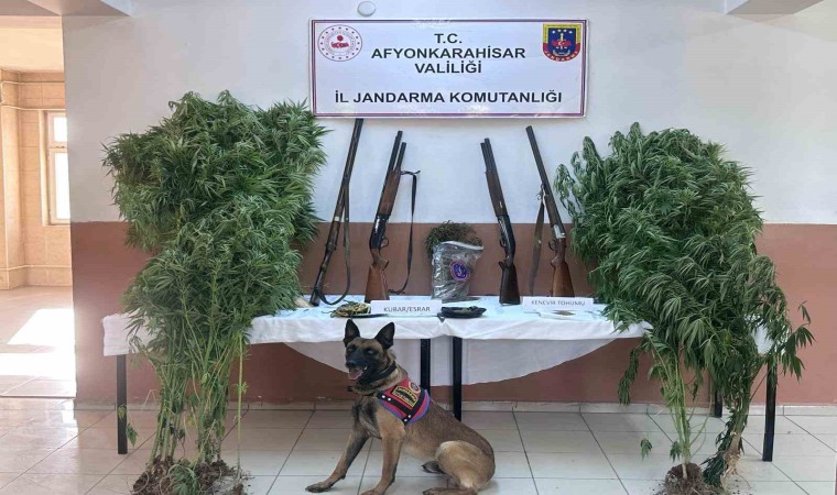 Zehir tacirlerinin sobaya sakladıkları esrarı narkotik köpeği buldu