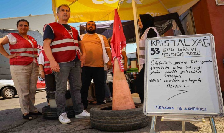 Zeytinyağı fabrikası işçileri 53 gündür grevde, yönetim Tarişte fason üretimde