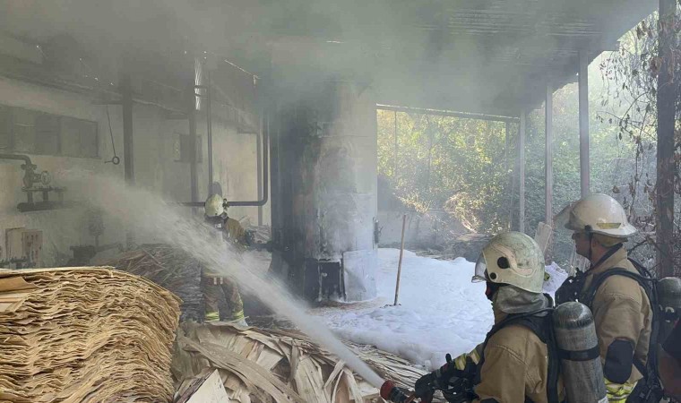 Ahşap atölyesindeki yangını itfaiye söndürdü