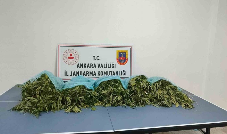 Ankarada narkotik operasyonu: 25 kilogram kubar esrar ele geçirildi