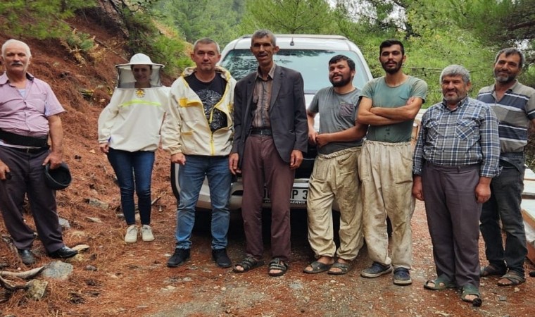 Atburgazı Mahallesinde arılı kovan tespiti yapıldı