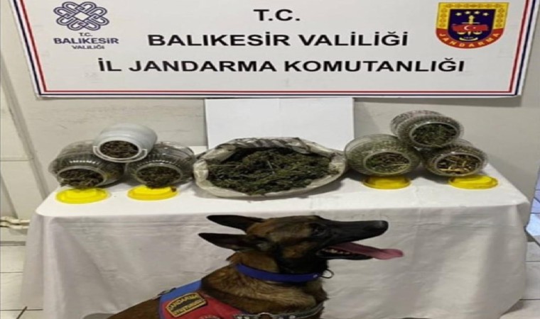 Balıkesirde uyuşturucu operasyonu: 6 kişi yakalandı