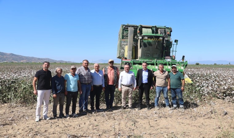 Başkan Arıcı pamuk hasadına katıldı