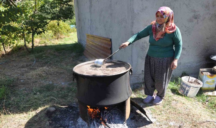 Batmanda üzümün pekmeze yolculuğu başladı