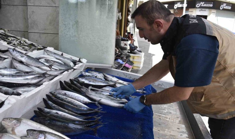 Bayburtta balık satışı yapılan yerlerde denetim yapıldı