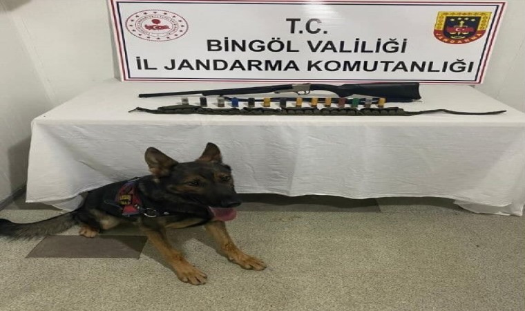 Bingölde 2 adet ruhsatsız av tüfeği ele geçirildi