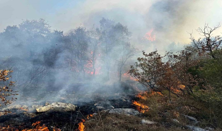 Bursada korkutan orman yangını