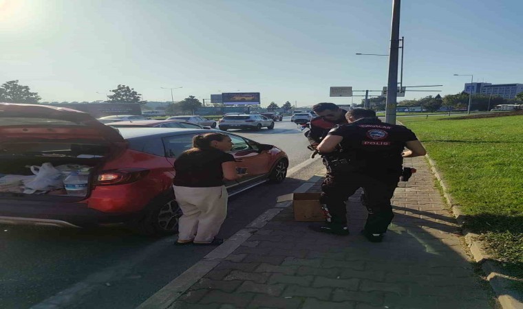 Bursada trafikte yavru kedi alarmı..Polisler 4 araca giren kediyi kurtardı