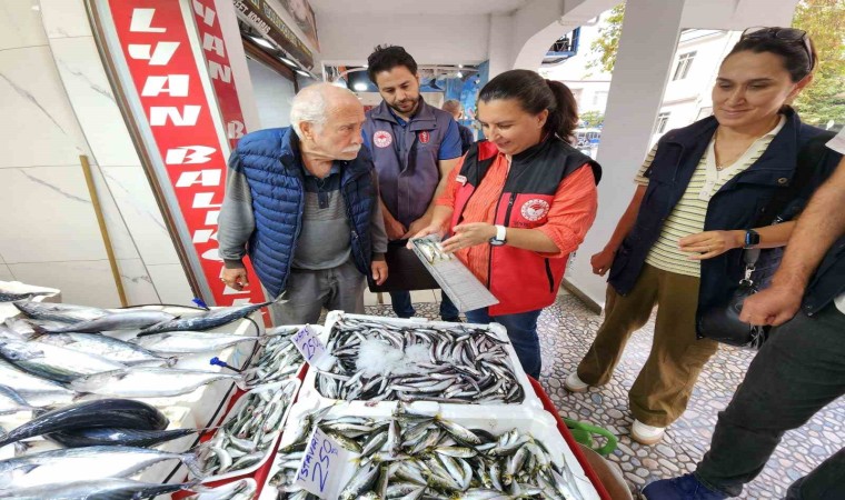 Çanakkalede Balık Denetimi: Yasal Avlanma Boyları ve Hijyen Kontrolleri Yapıldı