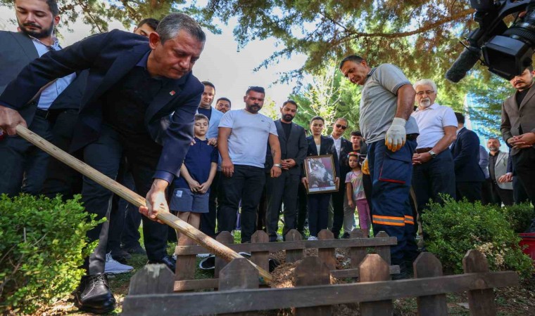 CHPnin kedisi Şero Genel Merkez bahçesine defnedildi