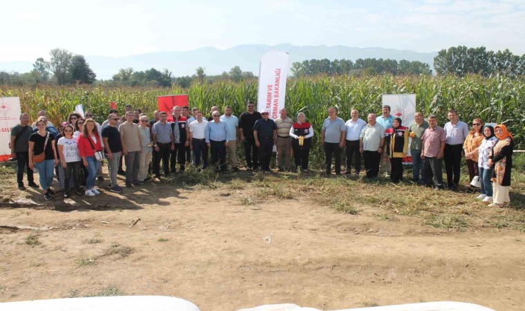 Düzcede yerli silajlık mısır tarla günü düzenlendi