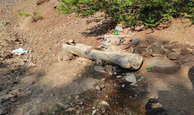 Fethiyede ormanda terk edilmiş bebek bulundu