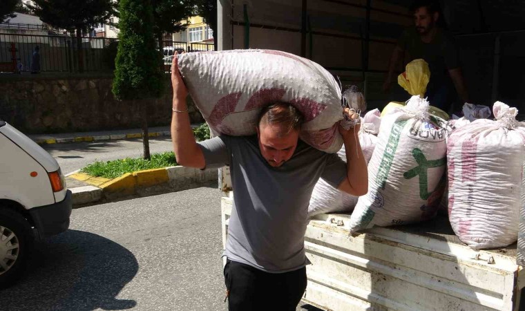 Fındık fiyatı haftaya düşüşle başladı