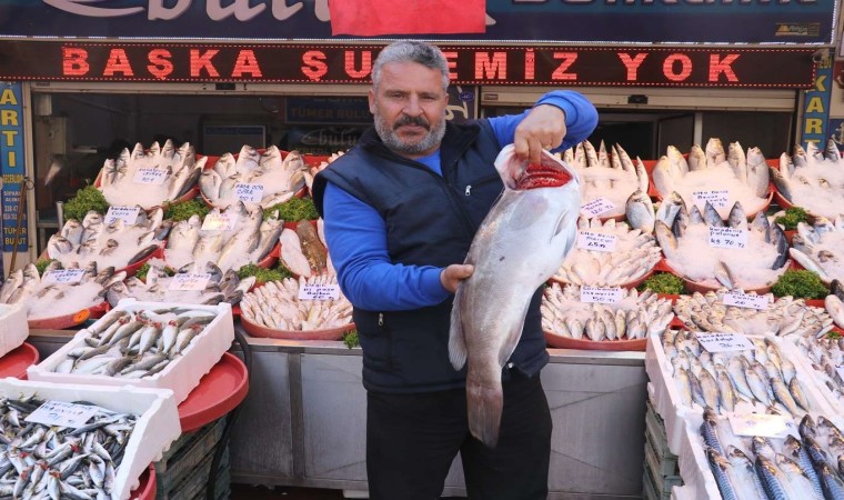 Gaziantepte havaların serinlemesiyle balık satışları arttı