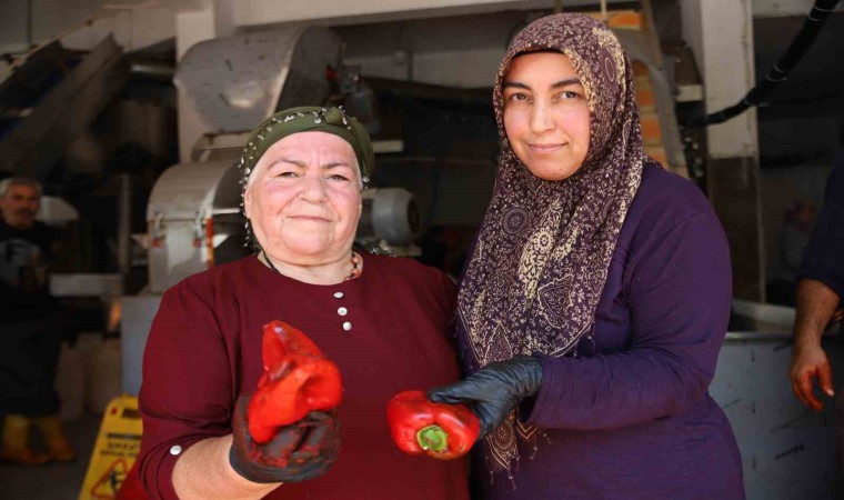 Gaziantepte kadınlar ekmeklerini acıdan çıkarıyor