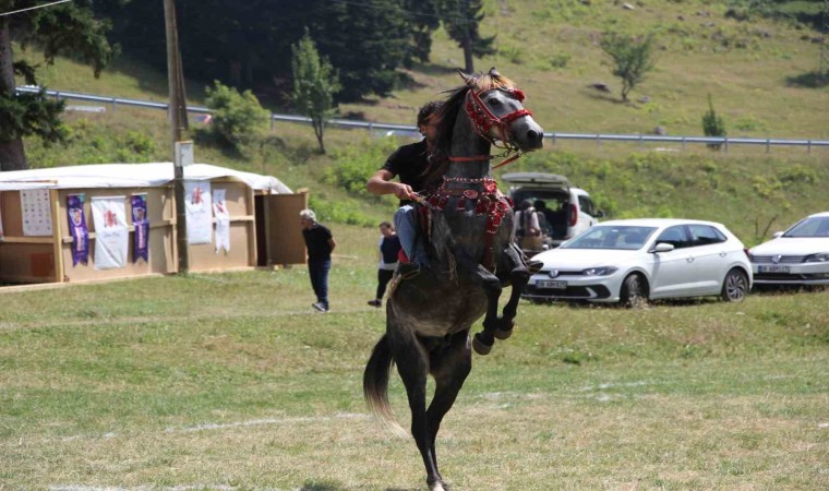 Gökyüzü Gözlem Etkinliği yapılamayınca katılımcılar doğanın tadını çıkardı