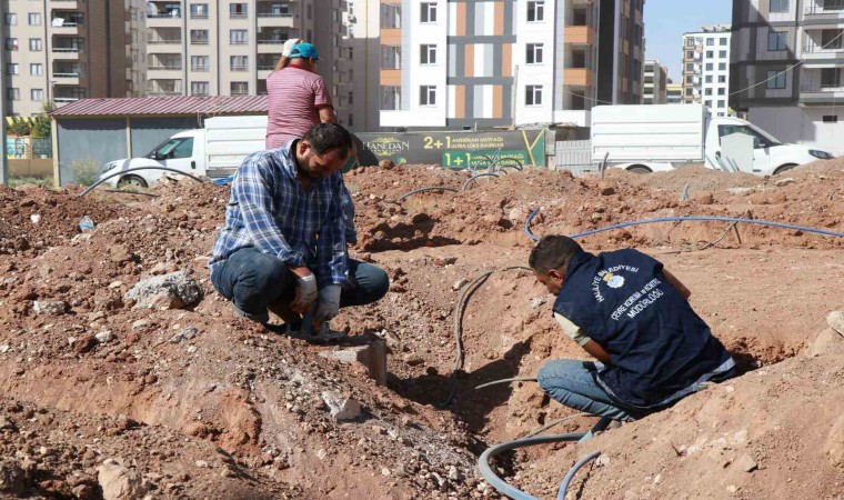 Haliliyede yeşil alan çalışması