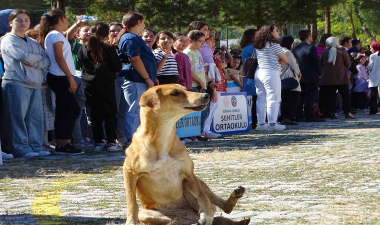 Hisarcıkta İlköğretim Haftası kutlamalarında sevimli köpek ilgi odağı oldu