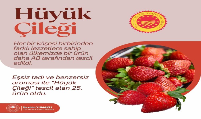 Hüyük çileği ABden tescil aldı