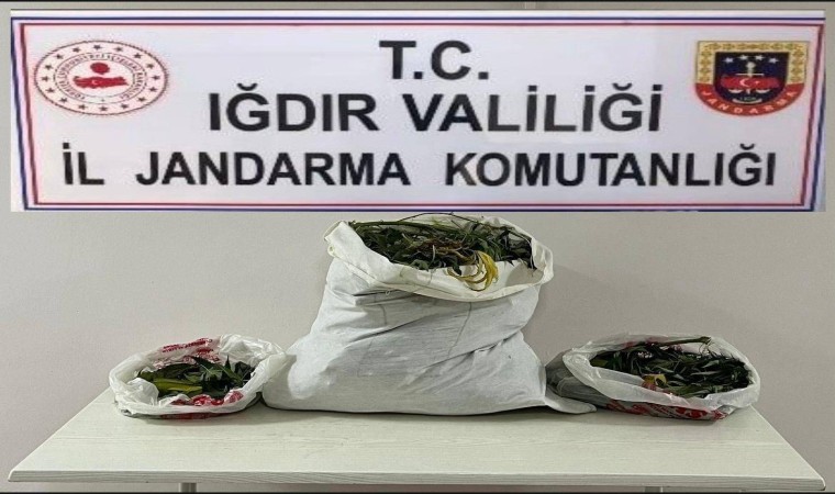 Iğdırda farklı adreslere uyuşturucu operasyonu