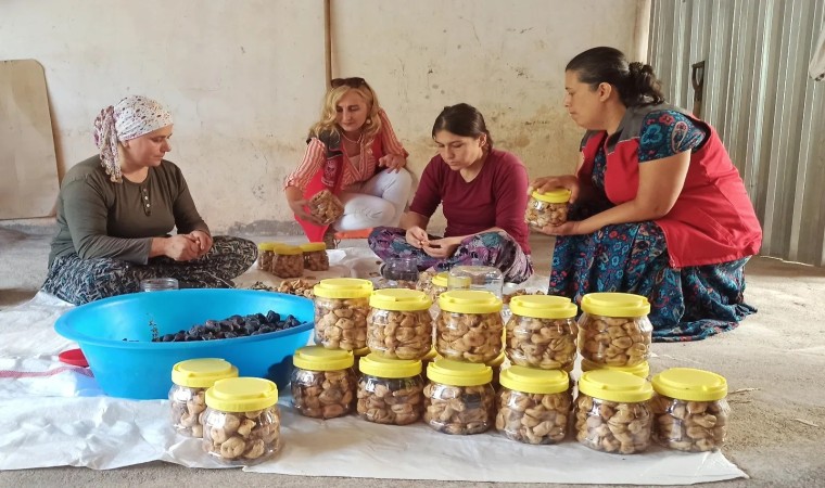 İncirköy Mahallesinde hasat dönemi sona erdi