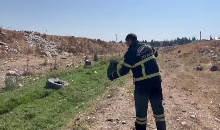 İş yerine giren yılan yakalanarak doğaya bırakıldı