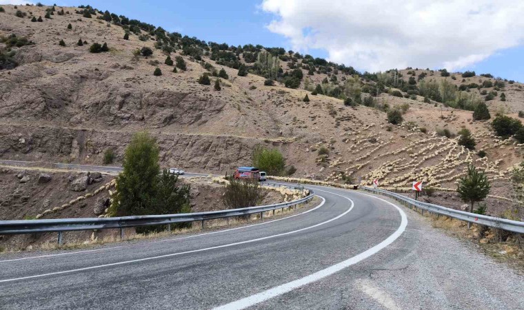 İstanbulun stresinden kaçtı huzuru çobanlıkta buldu