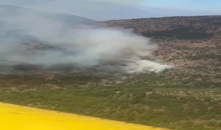 İzmirdeki orman yangınına havadan ve karadan müdahale