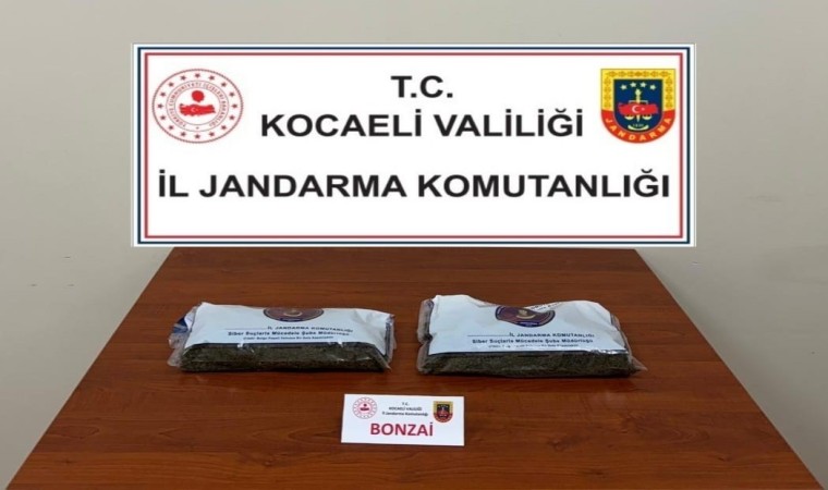 İzmit, Körfez ve Kartepede uyuşturucu operasyonları