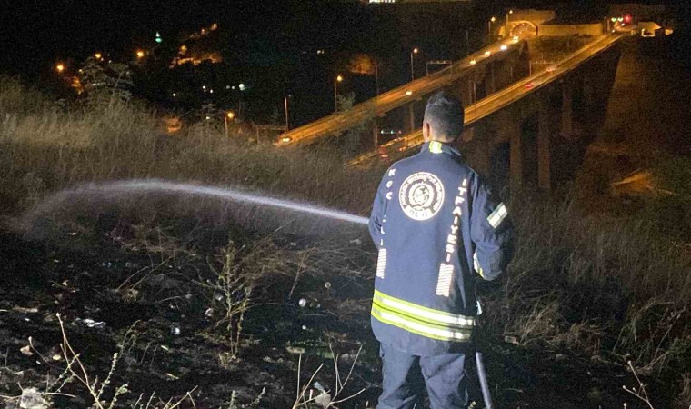 İzmitte 20 dönümlük alan küle döndü