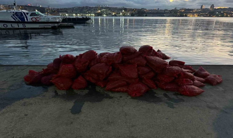 Kadıköyde tonlarca kaçak midye ele geçirildi