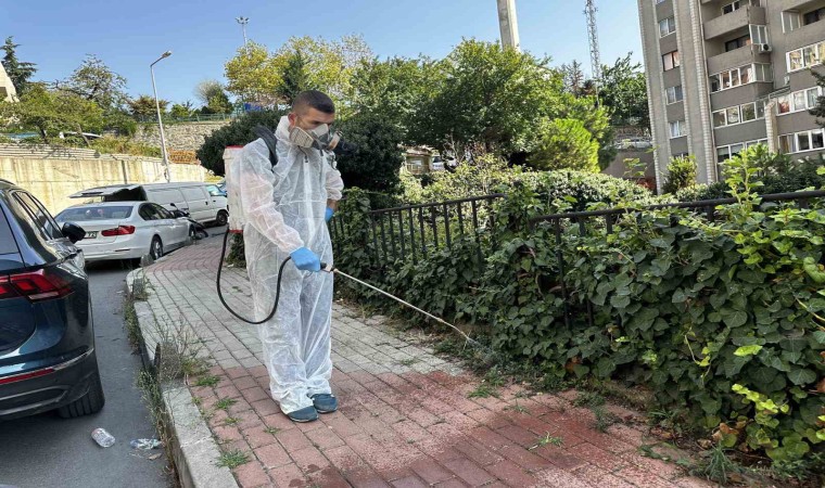 Kağıthanede sinek ve haşerelere karşı tam zamanlı mücadele