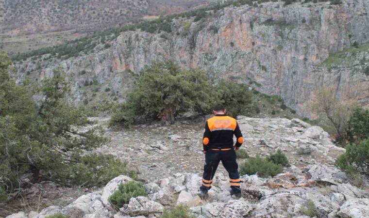 Kayıp ve kaçırma vakalarında büyük rol aileye düşüyor