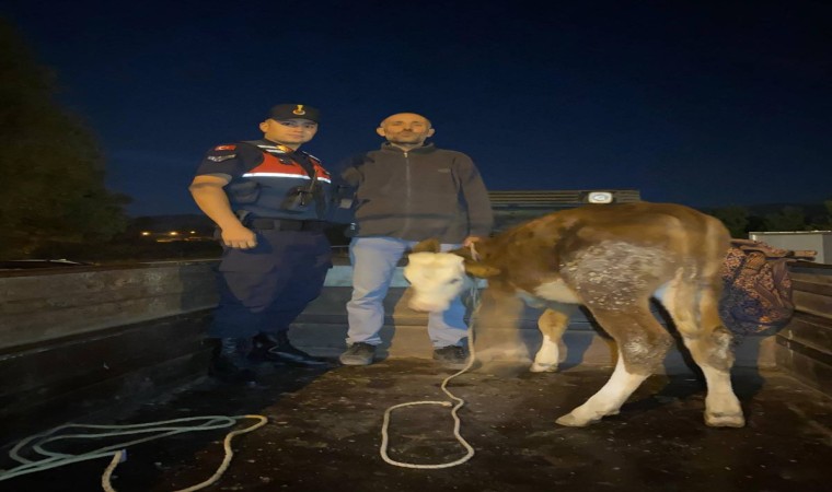 Kayseride çalındı, Kahramanmaraşta bulundu