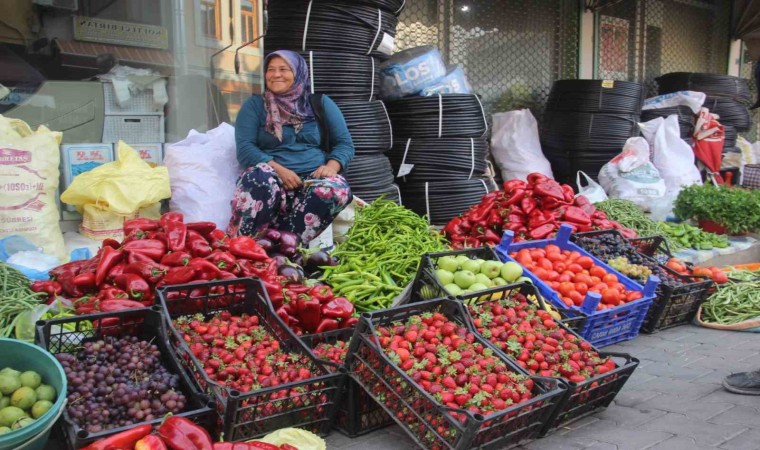 Kaz Dağlarında yetişen organik ürünler ilçe pazarında satılıyor