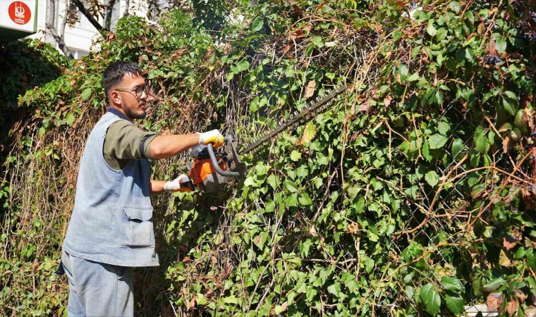 Keçiörende mevsimlik budama çalışmaları gerçekleştiriliyor