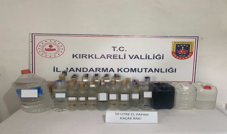 Kırklarelinde kaçakçılık operasyonları: 9 gözaltı