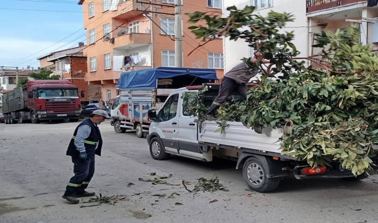 Körfezde yeşil alanlara bakım