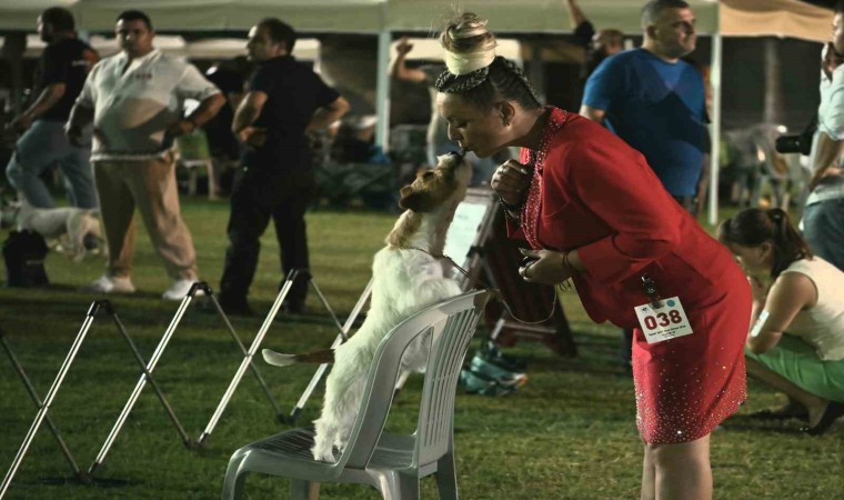 Kuşadasında renkli köpek şöleni: International Dog Show sona erdi