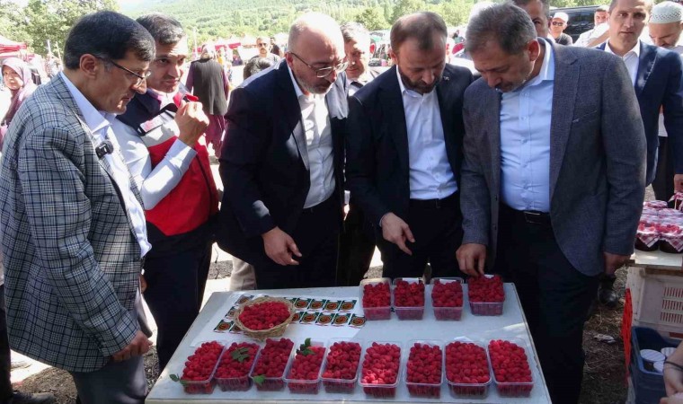 Kütahyada Ahududu Şenliği renkli görüntüler oluşturdu